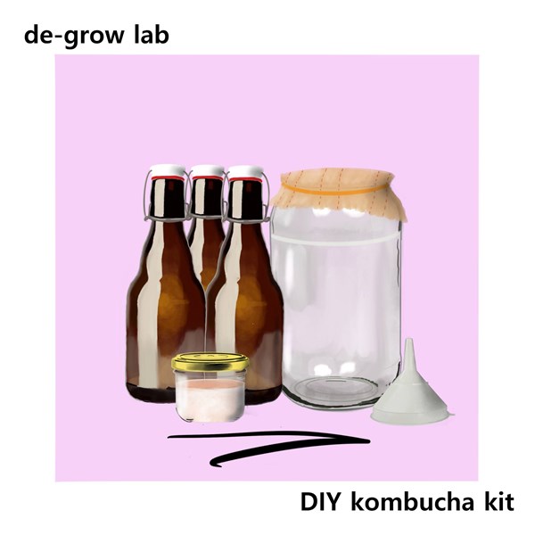 Afbeelding van Kombucha starter kit